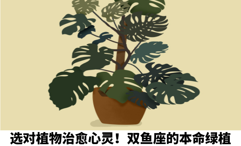 选对植物治愈心灵！双鱼座的本命绿植