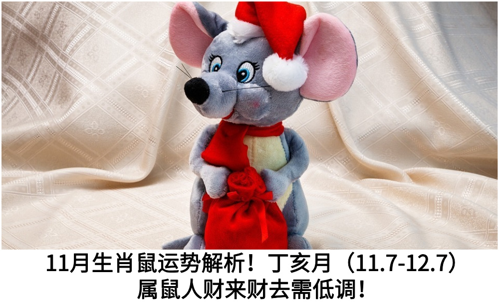 11月生肖鼠运势解析