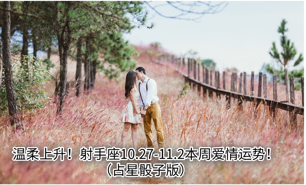 温柔上升!射手座10.27-11.2本周爱情运势!(占星骰子版)