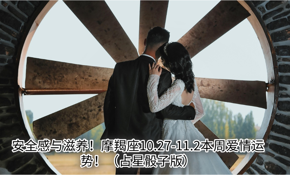 安全感与滋养！摩羯座10.27-11.2本周爱情运势！（占星骰子版）