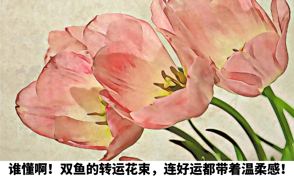 谁懂啊！双鱼的转运花束，连好运都带着温柔感！