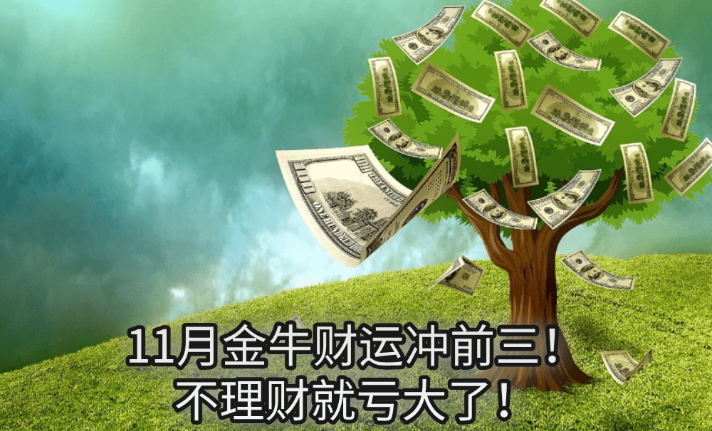 11月金牛财运冲前三!不理财就亏大了!