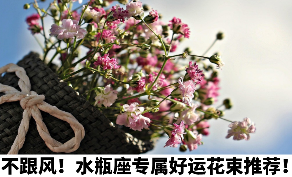 不跟风！水瓶座专属好运花束推荐！