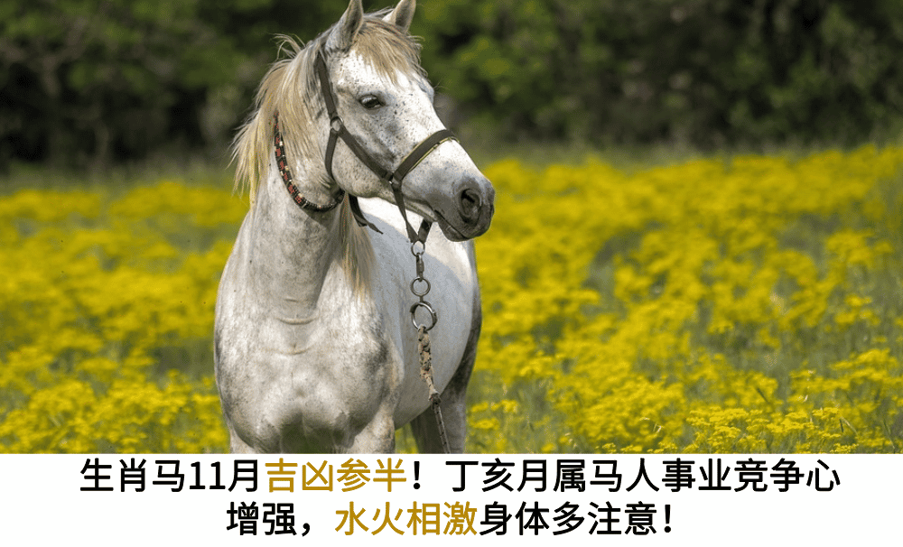 生肖马11月吉凶参半！丁亥月属马人事业竞争心增强，水火相激身体多注意！