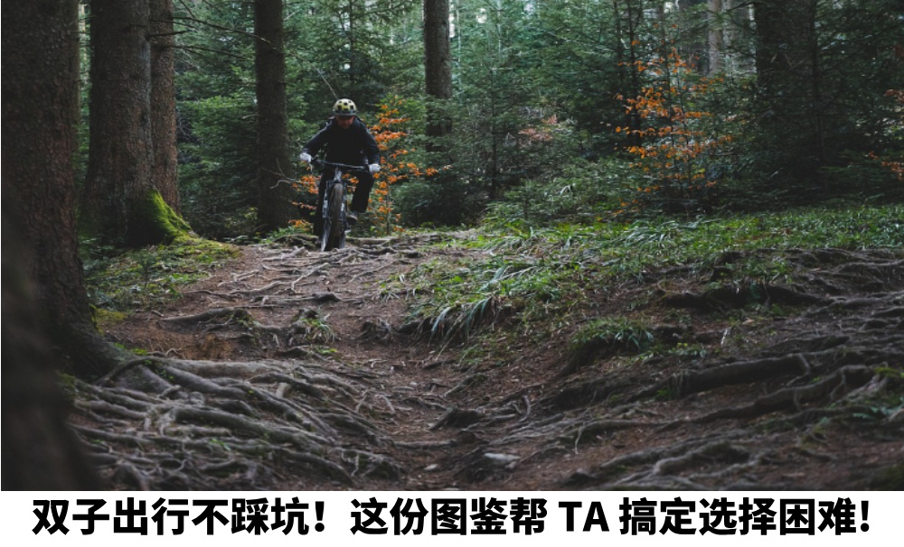 双子出行不踩坑！这份图鉴帮TA搞定选择困难!