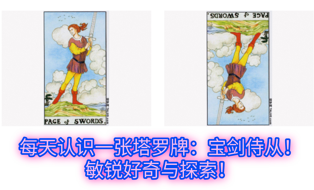 每天认识一张塔罗牌：宝剑侍从！敏锐好奇与探索！