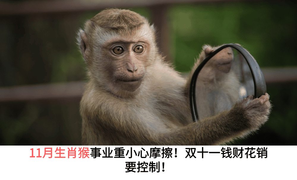 11月生肖猴事业重小心摩擦!双十一钱财花销要控制!