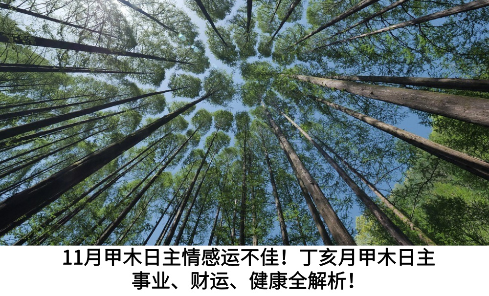 11月甲木日主情感运不佳!丁亥月甲木日主事业、财运、健康全解析!