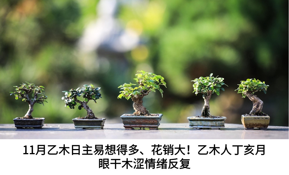 11月乙木日主易想得多、花销大!乙木人丁亥月眼干木涩情绪反复