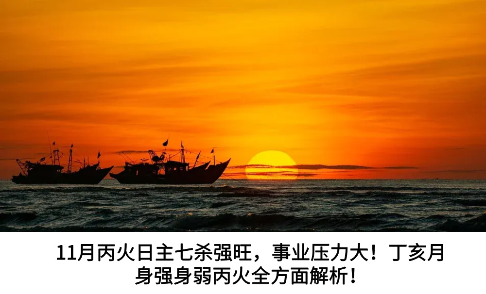 11月丙火日主七杀强旺,事业压力大