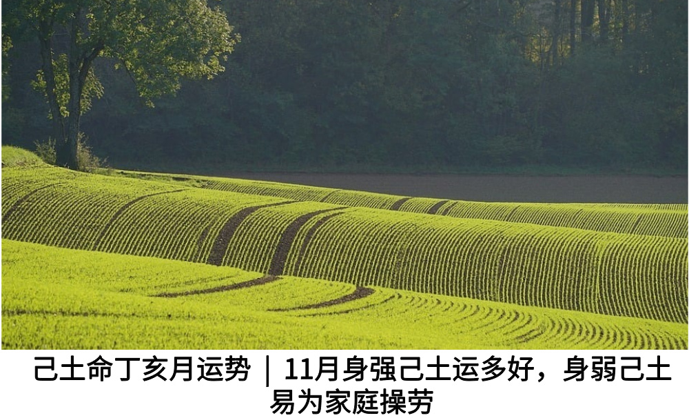 己土命丁亥月运势|11月身强己土运多好,身弱己土易为家庭操劳