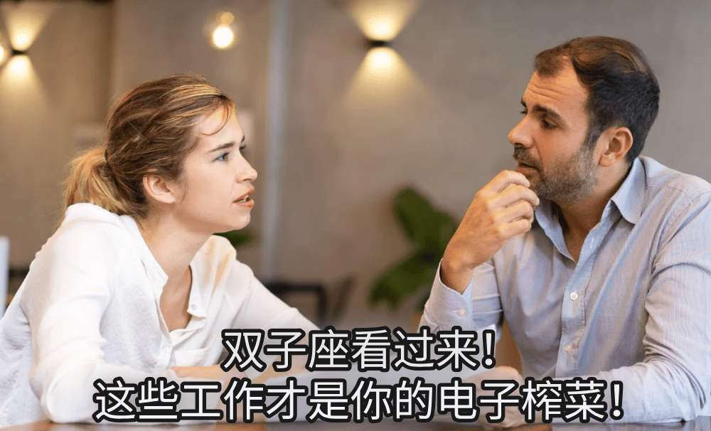 双子座看过来!这些工作才是你的电子榨菜!