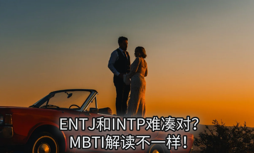 ENTJ和INTP难凑对？MBTI解读不一样！