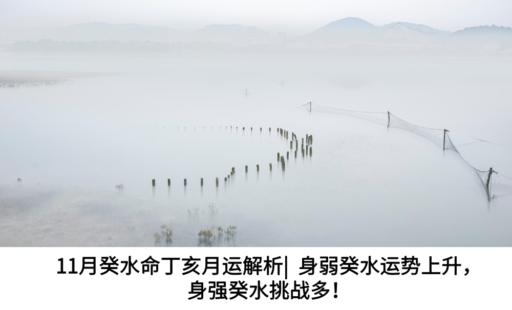 11月癸水命丁亥月运解析