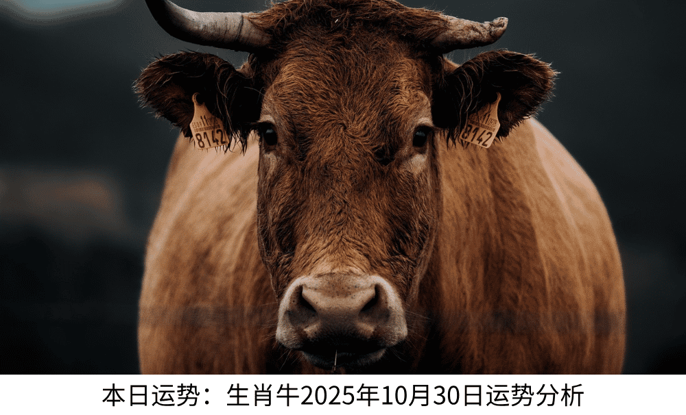 本日运势：生肖牛2025年10月30日运势分析