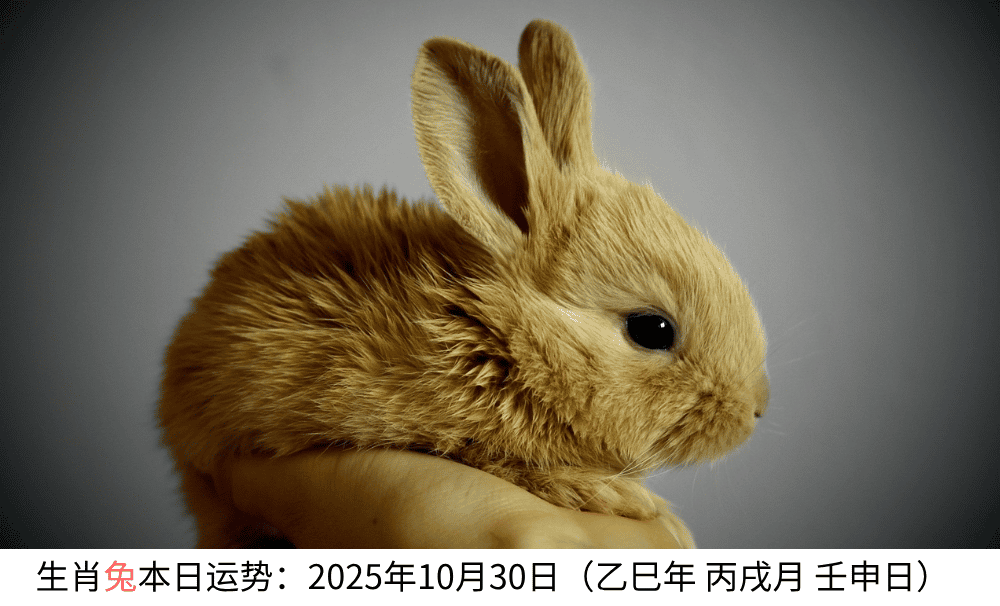 生肖兔本日运势：2025年10月30日（乙巳年丙戌月壬申日）