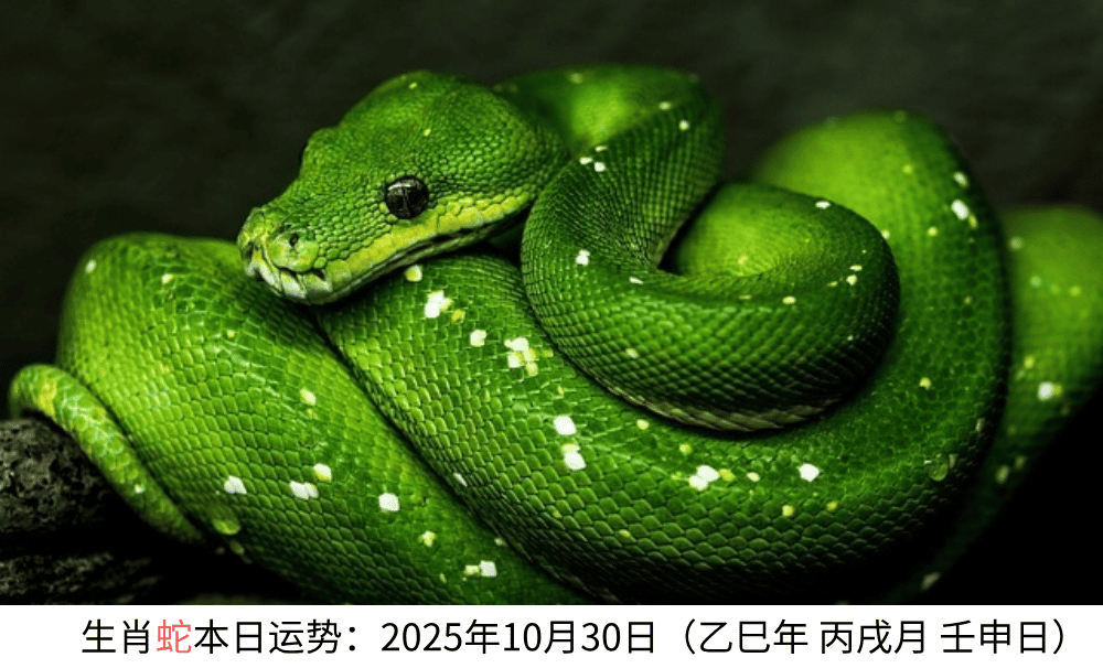生肖蛇本日运势：2025年10月30日（乙巳年丙戌月壬申日）
