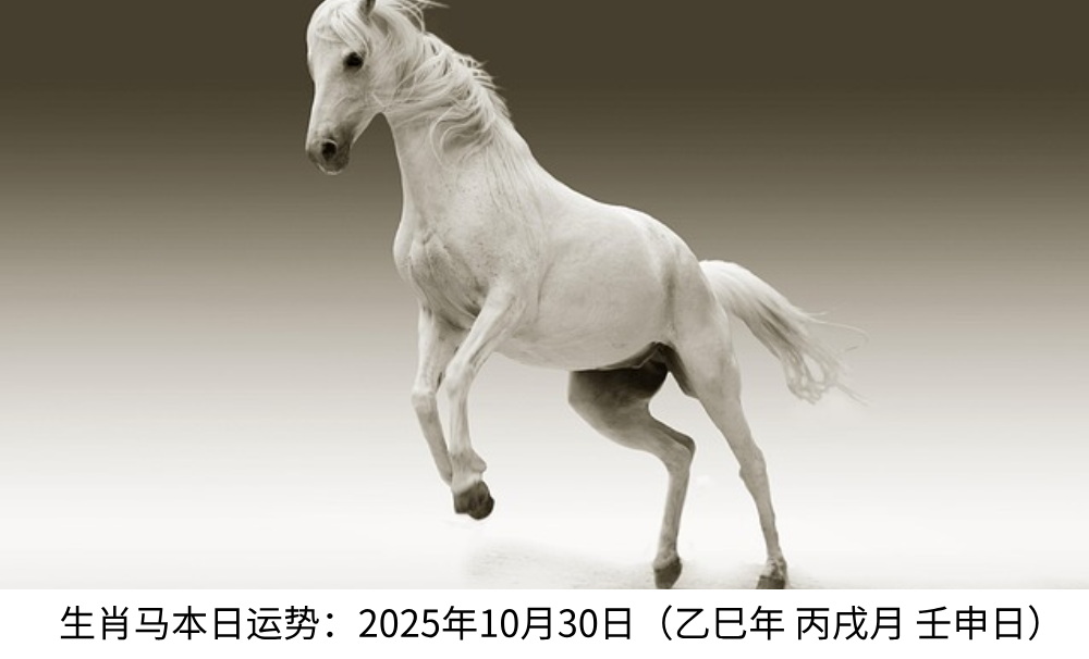生肖马本日运势：2025年10月30日（乙巳年丙戌月壬申日）