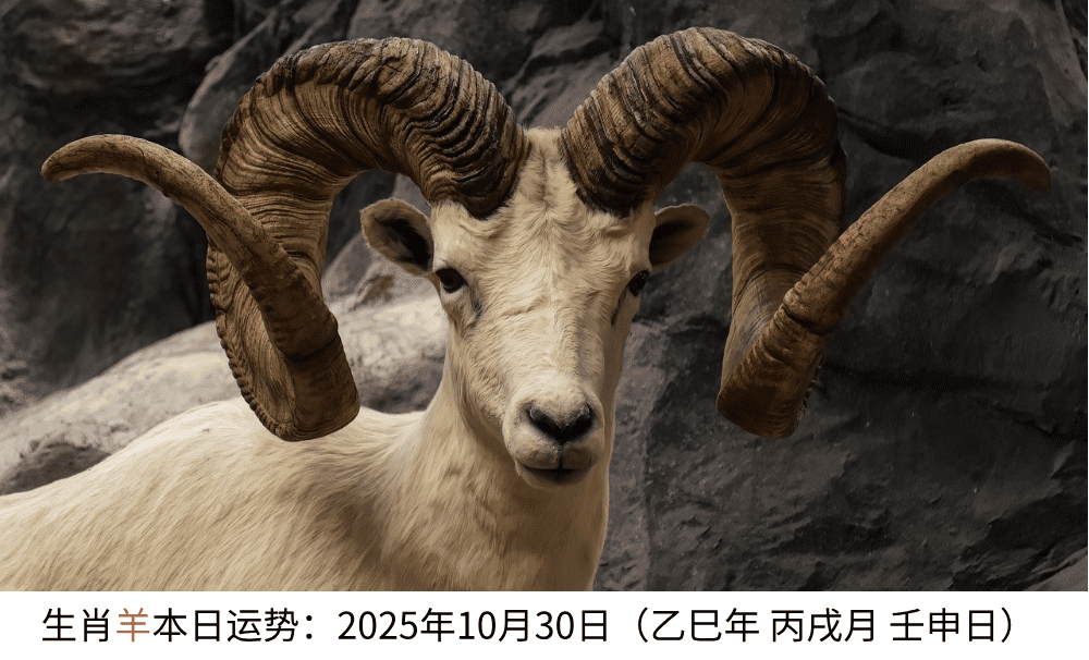 生肖羊本日运势：2025年10月30日（乙巳年丙戌月壬申日）