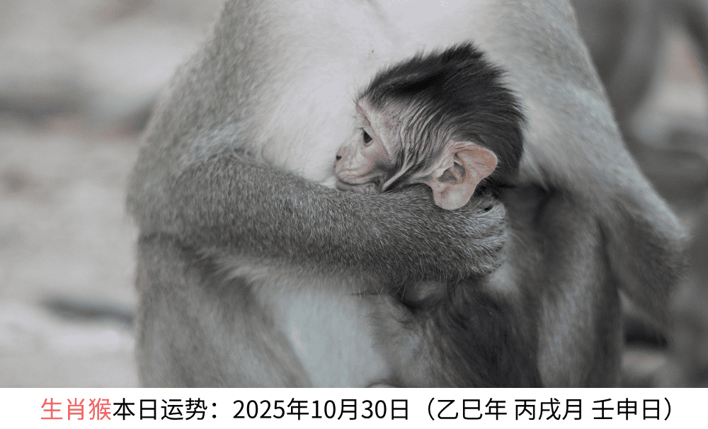 生肖猴本日运势：2025年10月30日（乙巳年丙戌月壬申日）