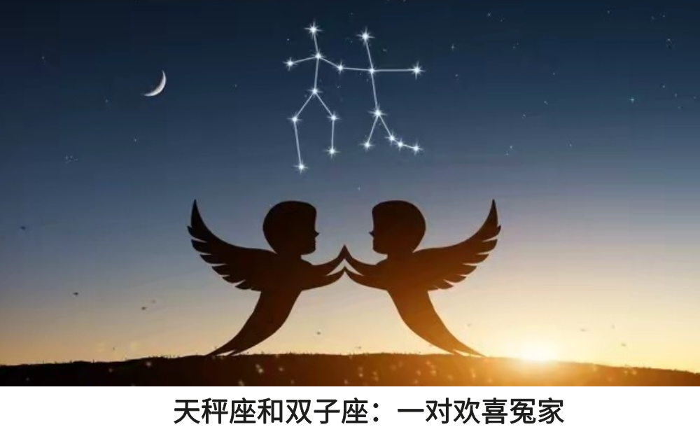 天秤双子