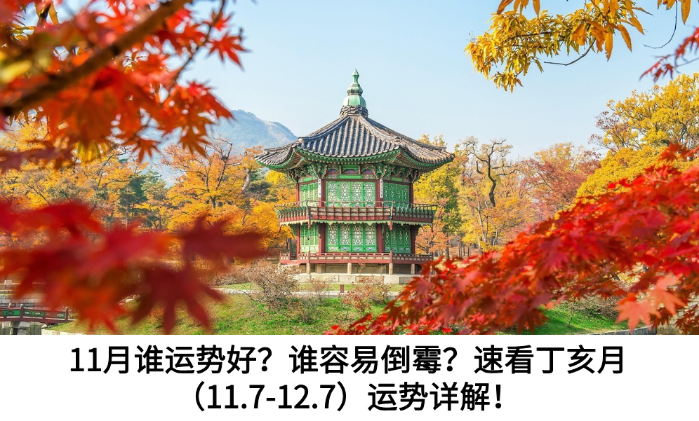 11月谁运势好？谁容易倒霉？速看丁亥月（11.7-12.7）运势详解！