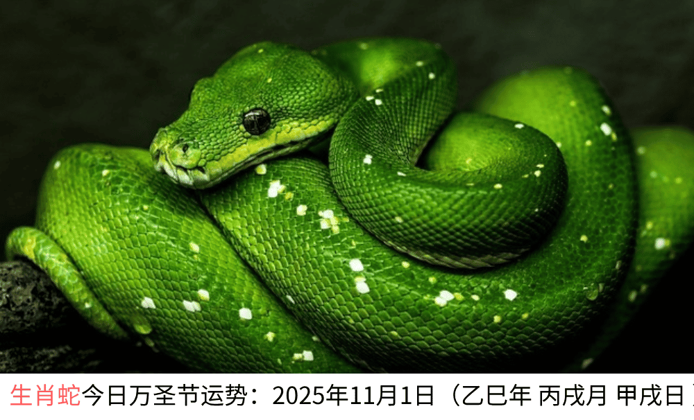 生肖蛇今日万圣节运势：2025年11月1日（乙巳年丙戌月甲戌日）