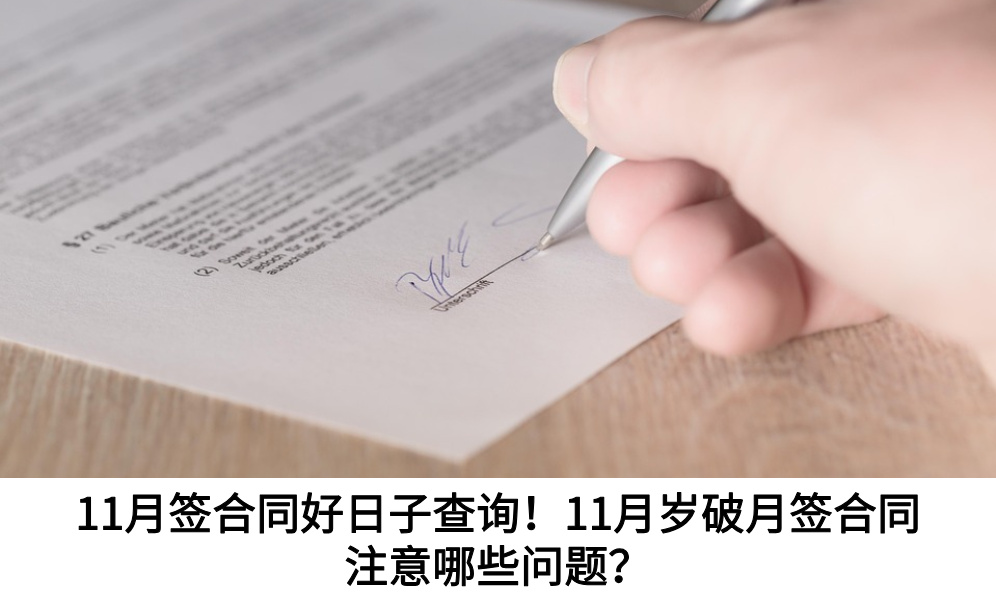 11月签合同