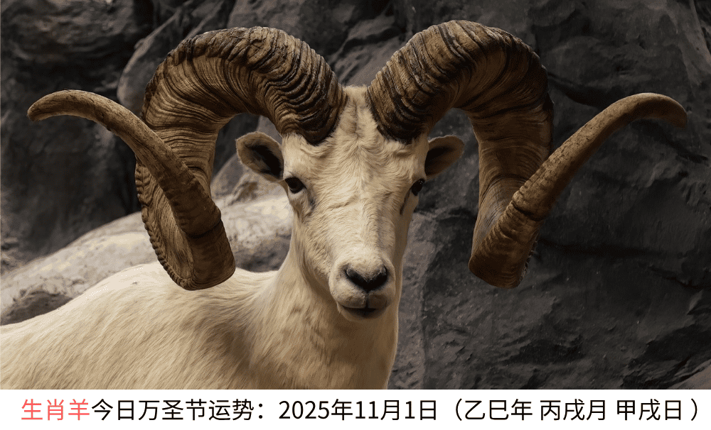 生肖羊今日万圣节运势：2025年11月1日（乙巳年丙戌月甲戌日）