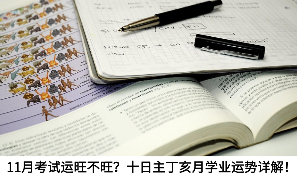 11月考试运旺不旺？十日主丁亥月学业运势详解！
