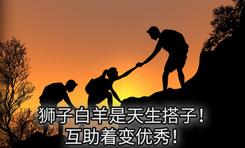 狮子白羊是天生搭子!互助着变优秀!