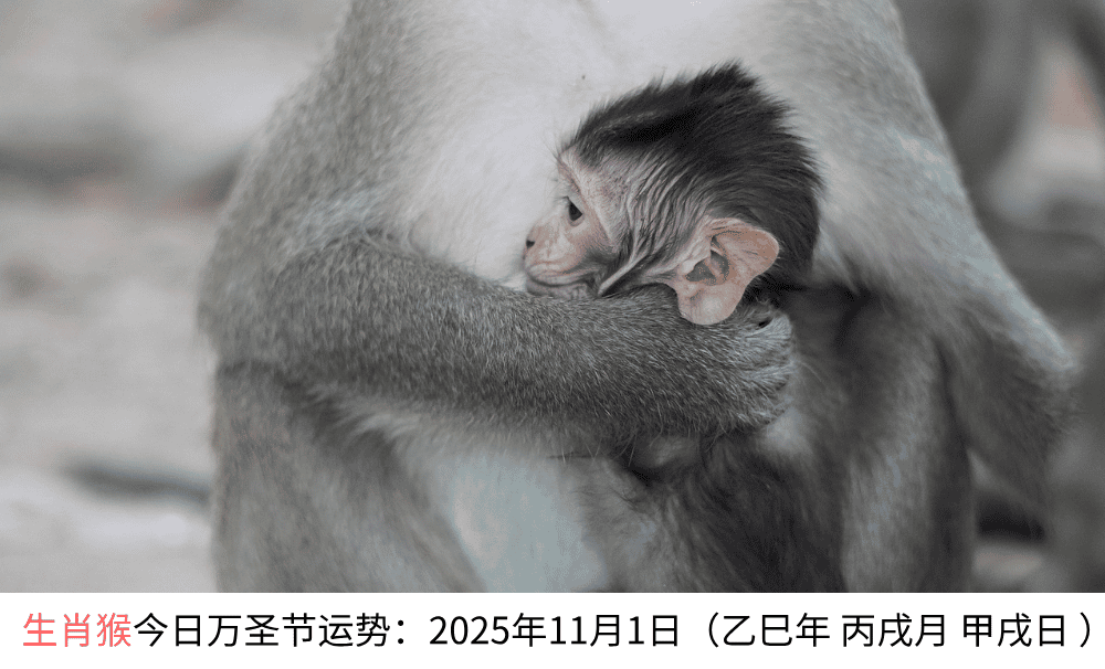 生肖猴今日万圣节运势：2025年11月1日（乙巳年丙戌月甲戌日）