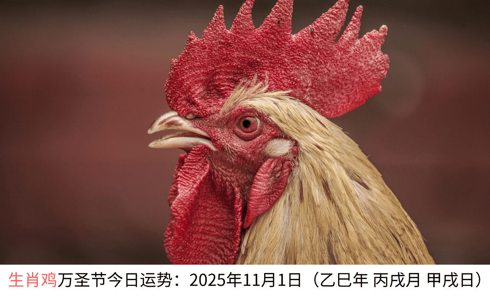 生肖鸡万圣节今日运势：2025年11月1日（乙巳年丙戌月甲戌日）