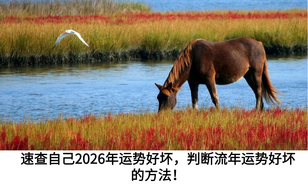 速查自己2026年运势好坏，判断流年运势好坏的方法！