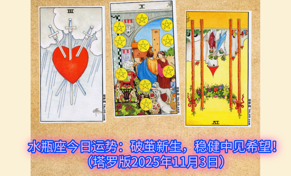 水瓶座今日运势：破茧新生，稳健中见希望！（塔罗版2025年11月3日）