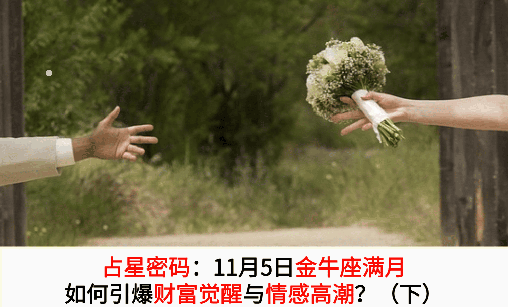 【织女星】占星密码：11月5日金牛座满月如何引爆财富觉醒与情感高潮？（下）