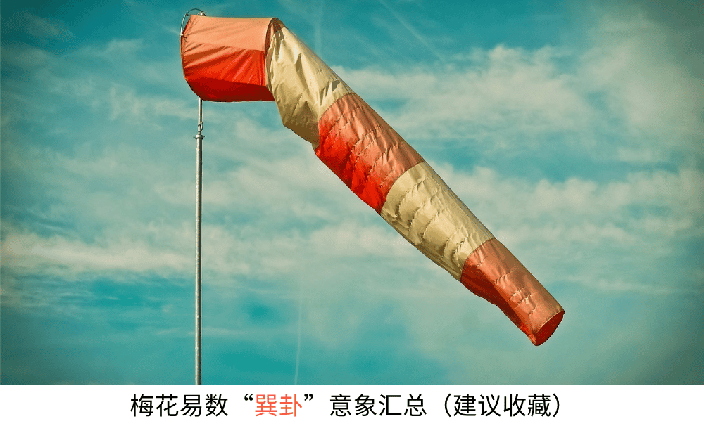 梅花易数【巽卦】意象汇总（建议收藏）