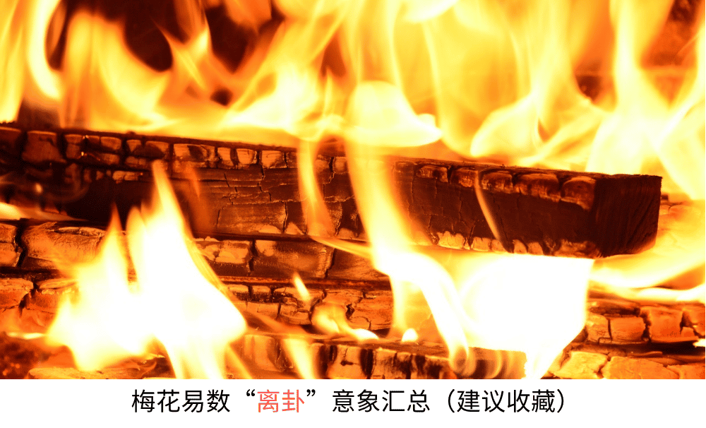 梅花易数【离卦】意象汇总（建议收藏）