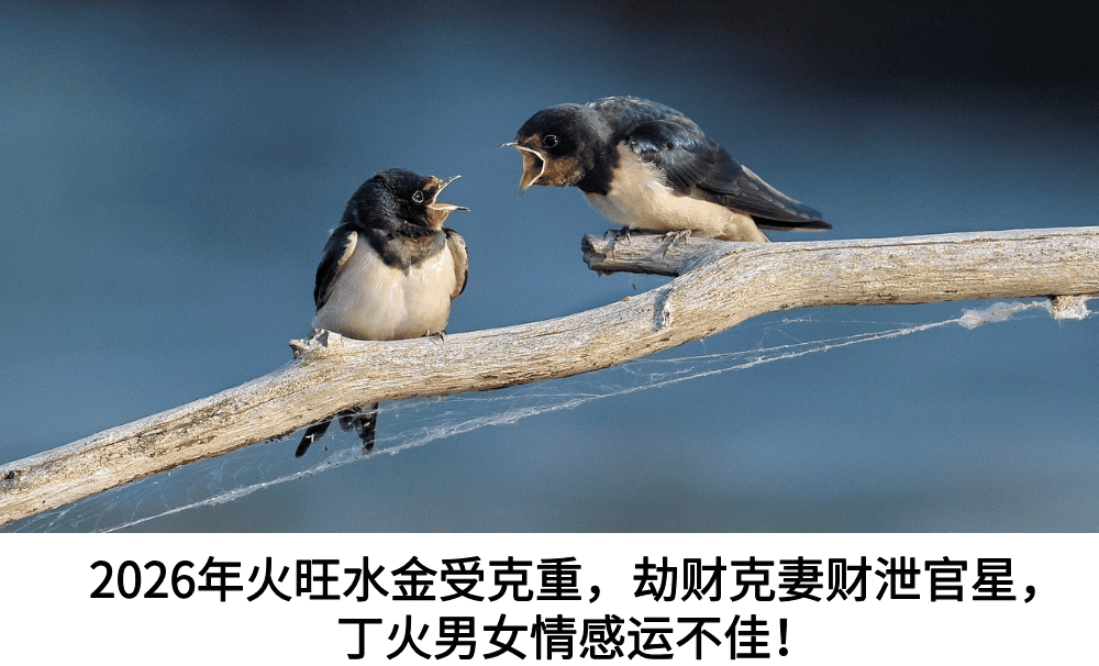 2026年火旺水金受克重，劫财克妻财泄官星，丁火男女情感运不佳！