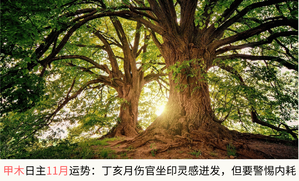 甲木日主11月运势：丁亥月伤官坐印灵感迸发，但要警惕内耗
