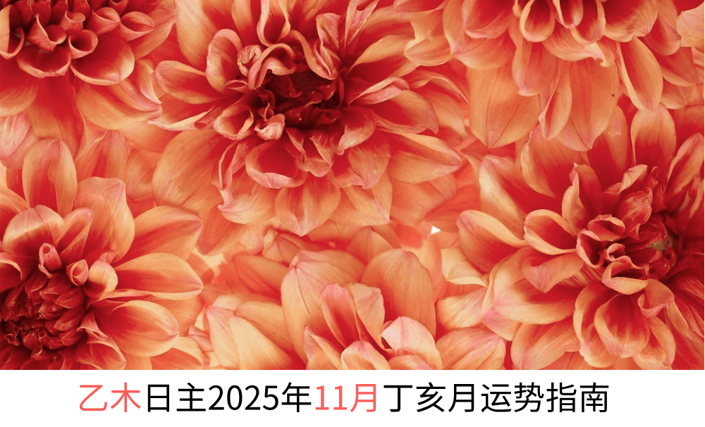 乙木日主本月运势：2025年11月-2025年12月（丁亥月）