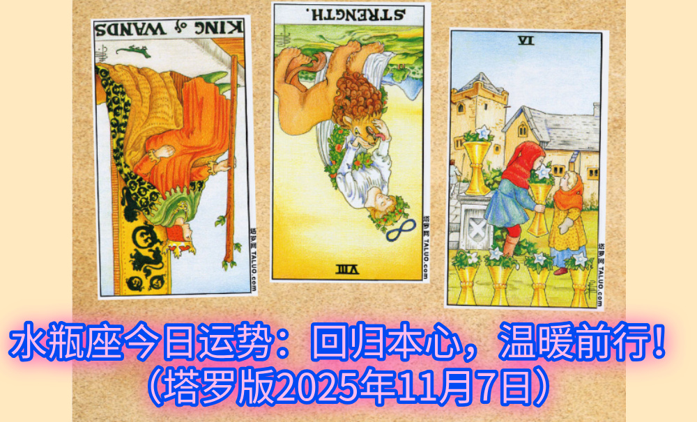 水瓶座今日运势：回归本心，温暖前行！（塔罗版2025年11月7日）