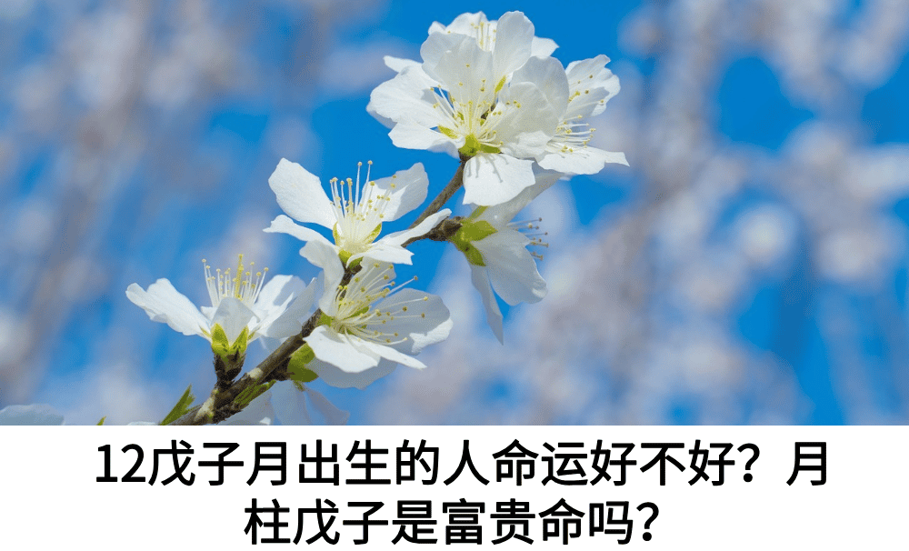 戊子月出生的人命运好不好（12月份）？月柱戊子是富贵命吗？