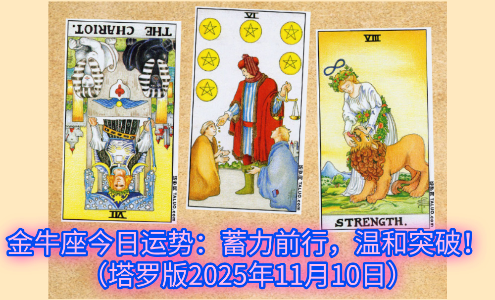金牛座今日运势：蓄力前行，温和突破！（塔罗版2025年11月10日）
