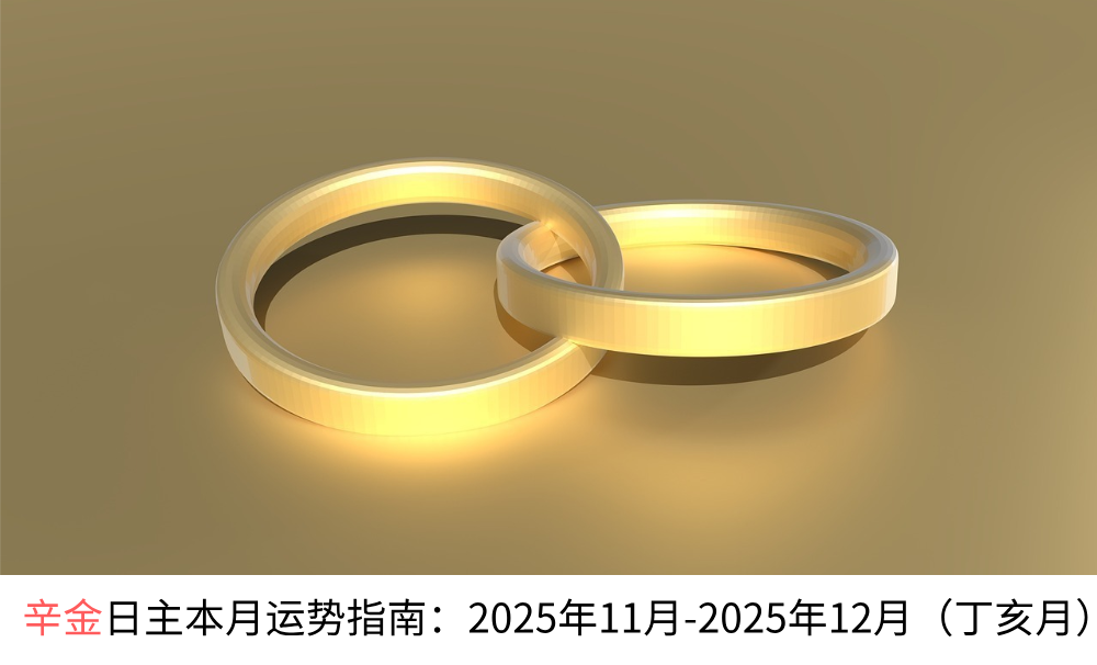 辛金日主本月运势指南：2025年11月-2025年12月（丁亥月）