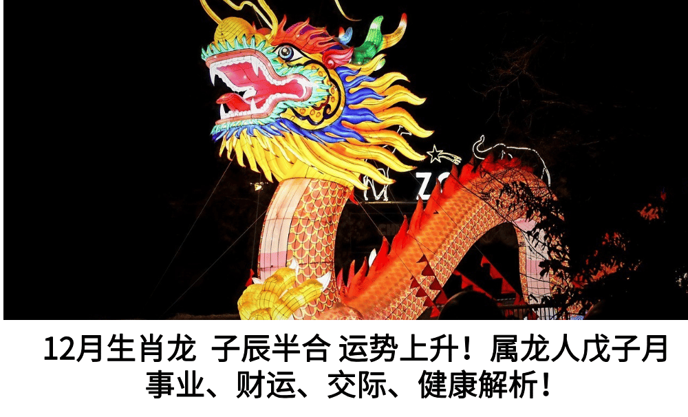 12月生肖龙