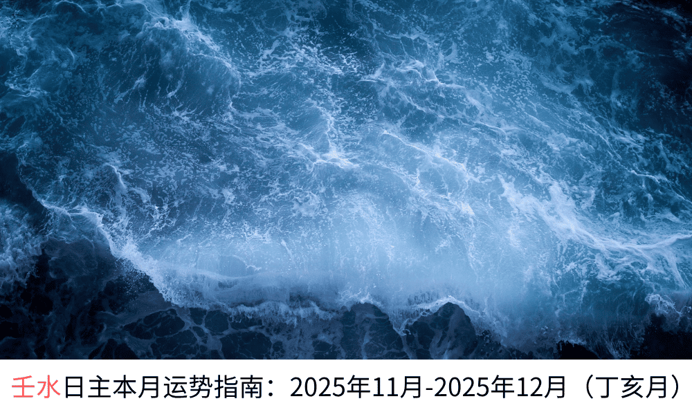 壬水日主本月运势指南：2025年11月-2025年12月（丁亥月）