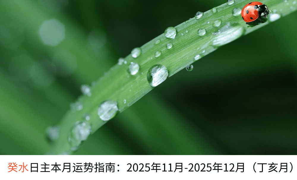 癸水日主本月运势指南：2025年11月-2025年12月（丁亥月）