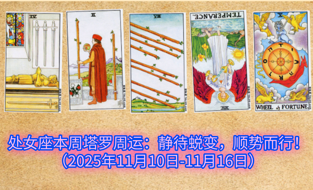 处女座本周塔罗周运：静待蜕变，顺势而行！（2025年11月10日-11月16日）