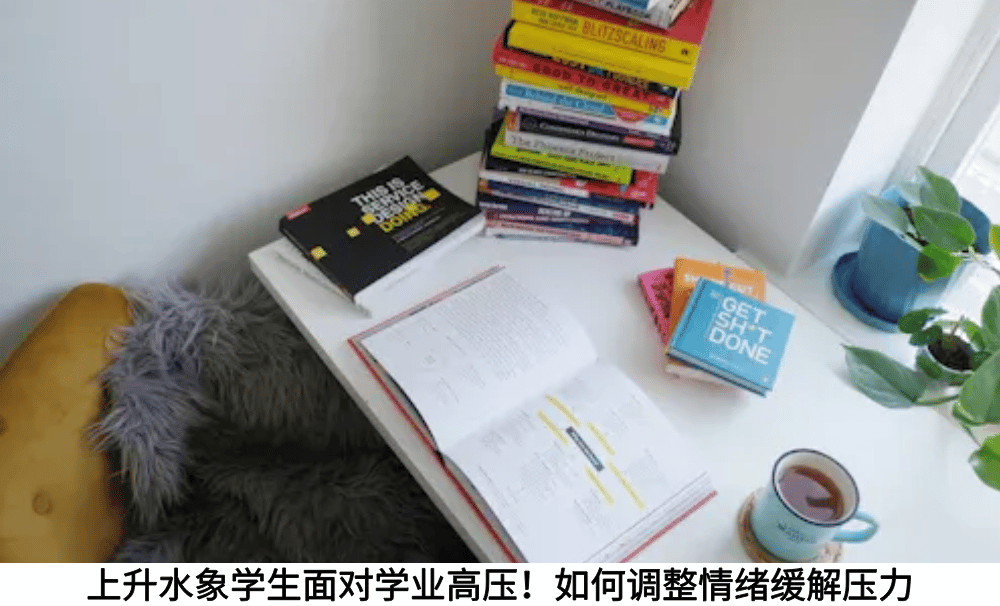 上升水象学生面对学业高压!如何调整情绪缓解压力